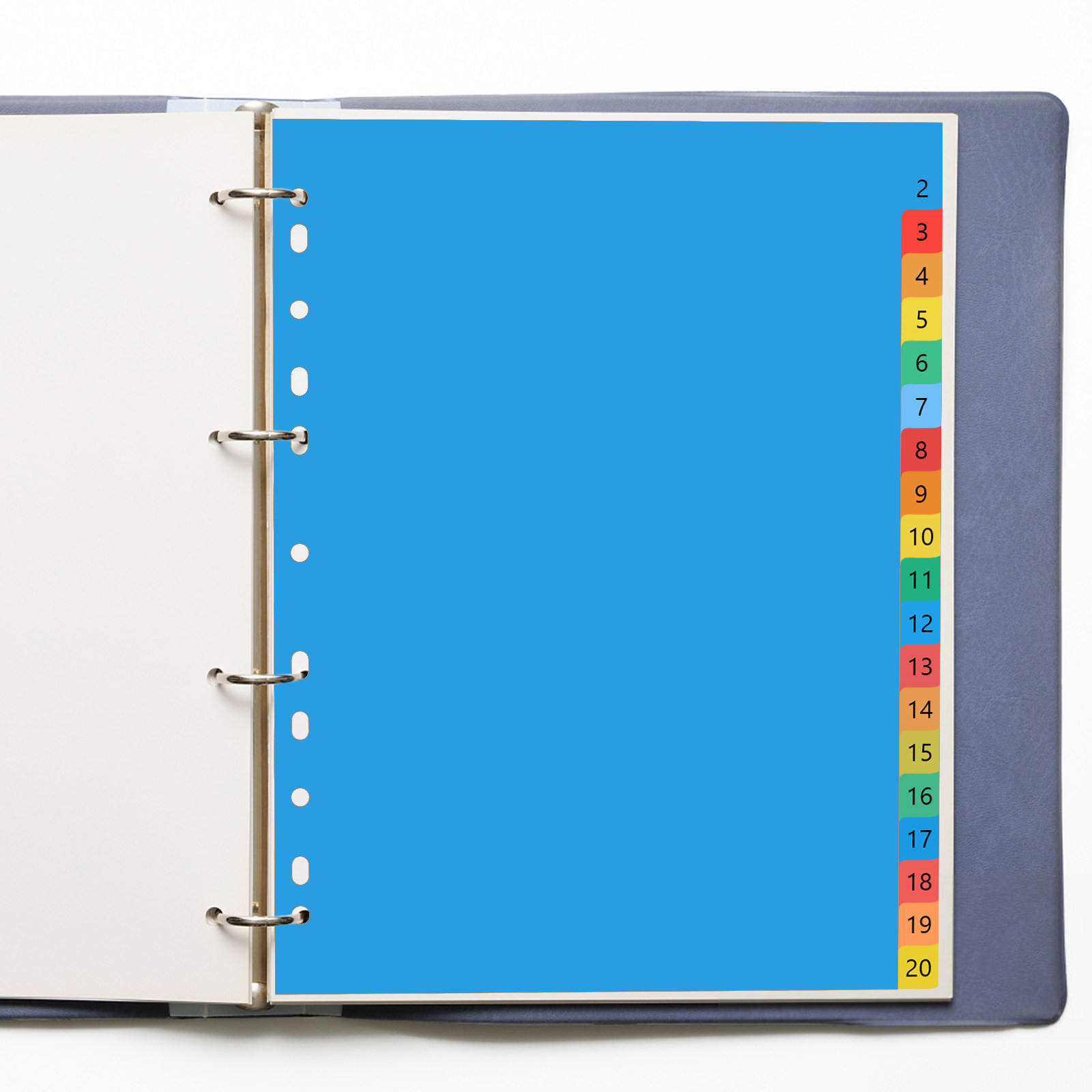 A4 Bunte Plastik-Registerblätt – Tab Divider A4 Bewertung und Preis