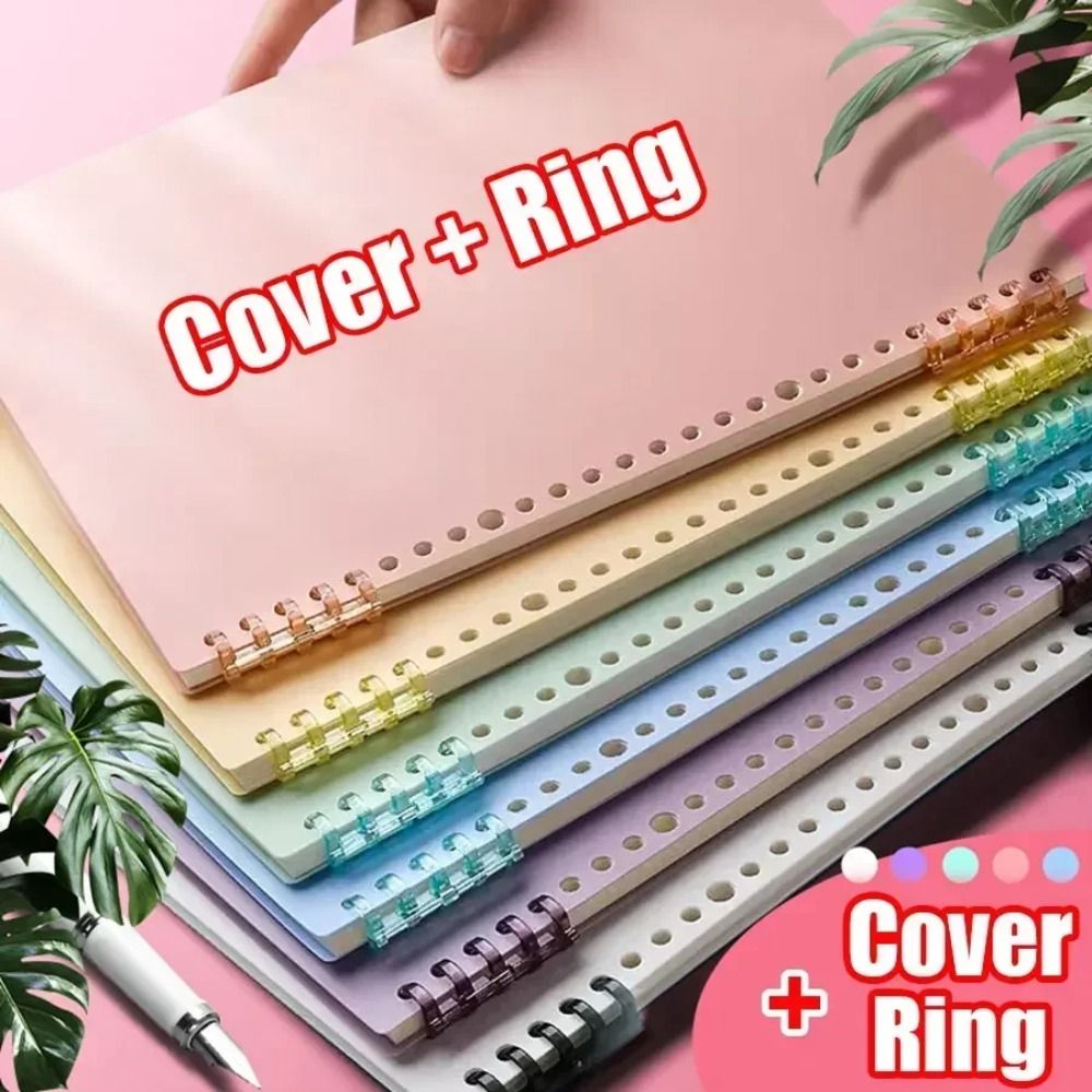 4 Stück PP Loseblatt-Bucheinba – Binder A4 Lever Bewertung und Preis
