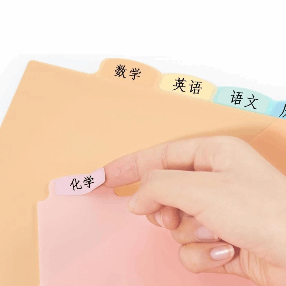 8 Stück A4 Pastellfarbene Tren – Tab Divider A4 Bewertung und Preis